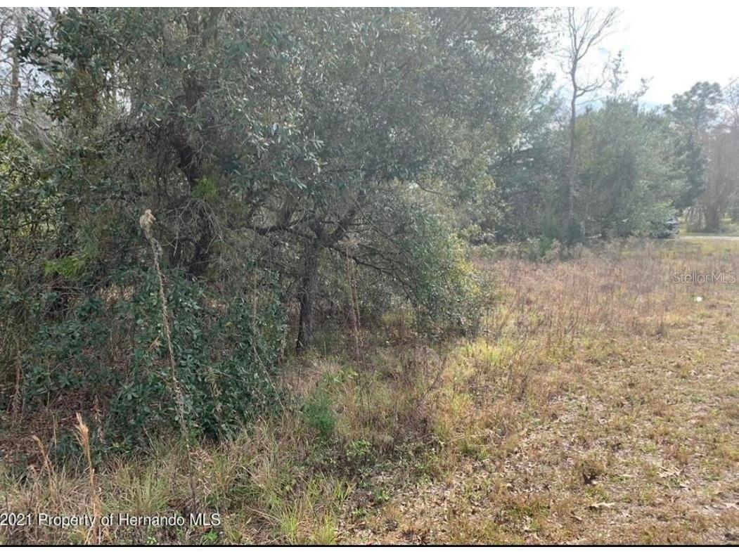 00 Thames Road Weeki Wachee FL 34613 W7842277 image1