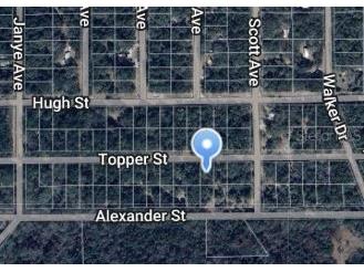 00 Topper Street Interlachen FL 32148 OM697031 image1