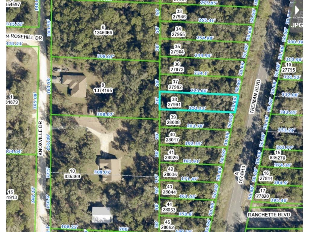 00 Treiman Boulevard Webster FL 33597 OM651519 image1