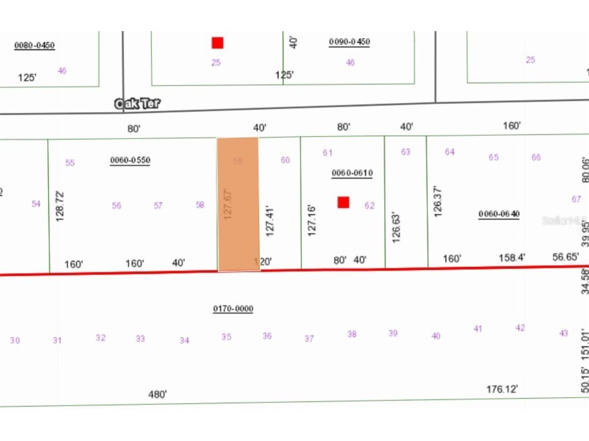 00 Unassigned Road Interlachen FL 32148 FC314075 image5