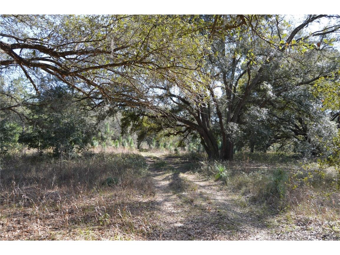 00 Unnamed Spring Hill FL 34610 TB8401223 image12