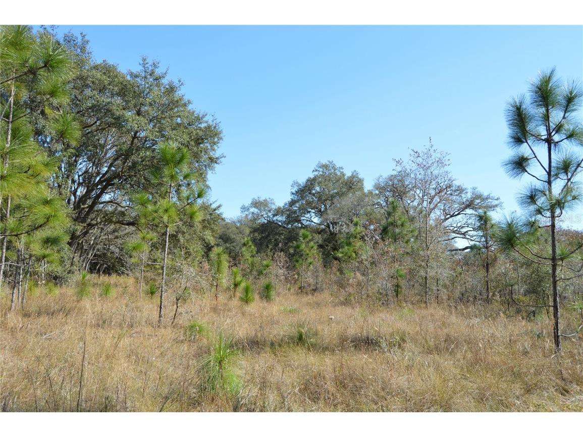 00 Unnamed Spring Hill FL 34610 TB8401223 image14