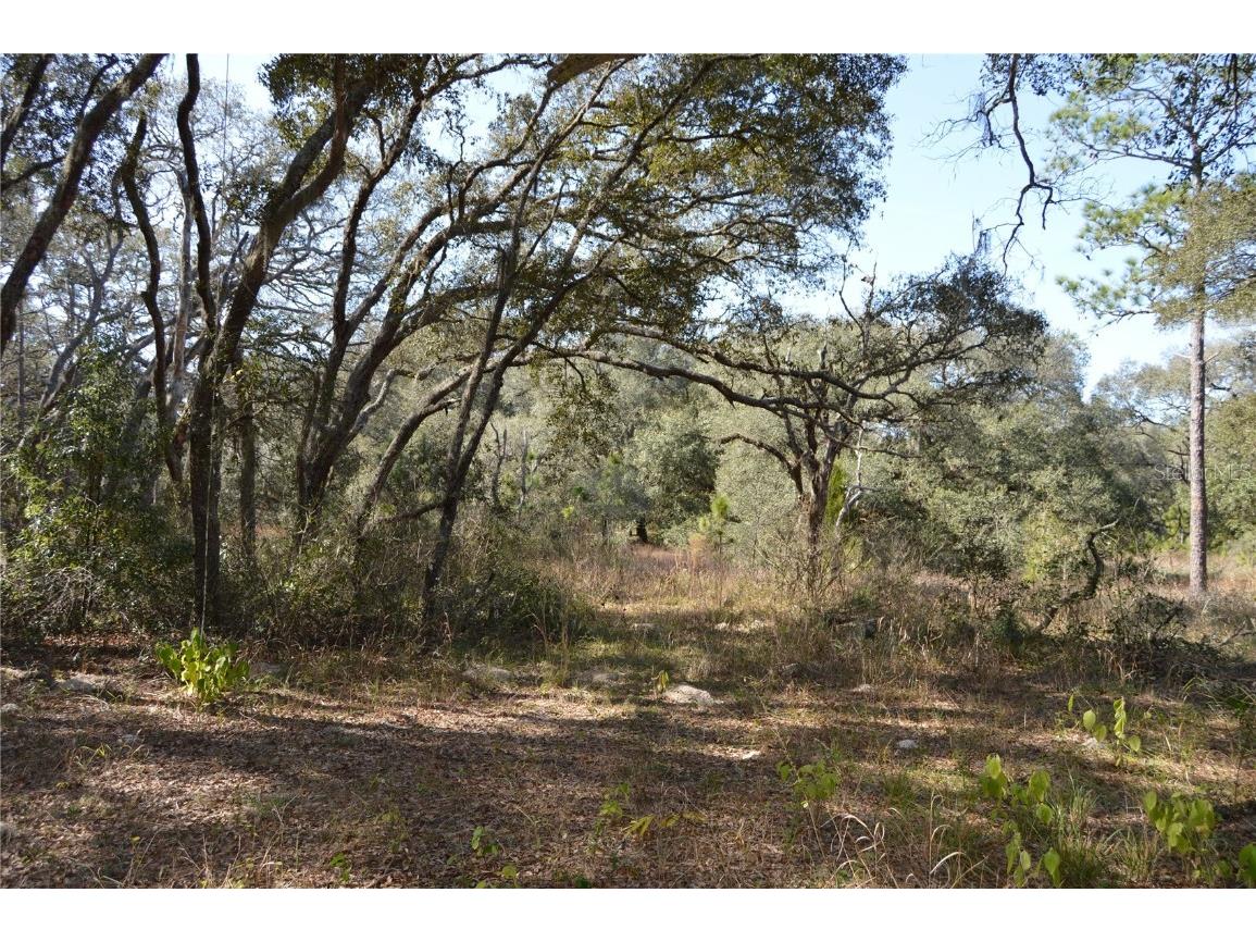 00 Unnamed Spring Hill FL 34610 TB8401223 image16