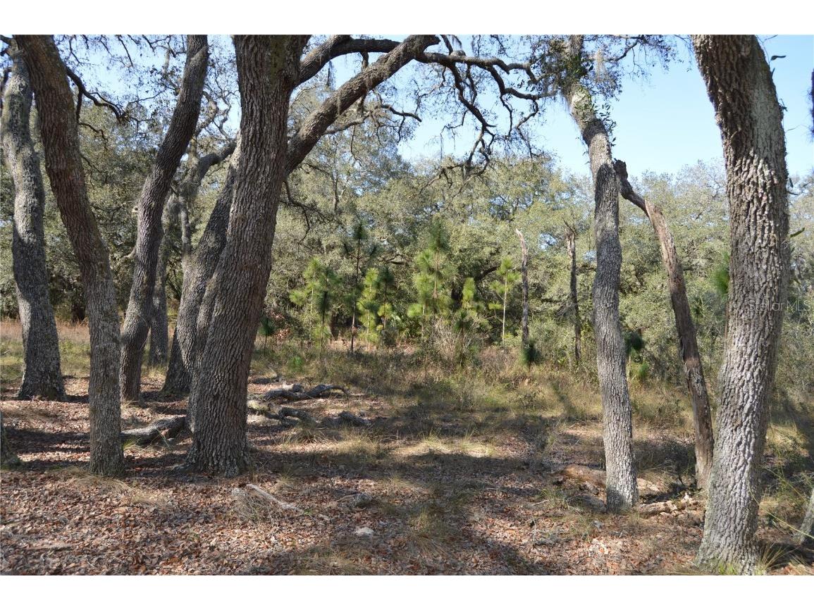 00 Unnamed Spring Hill FL 34610 TB8401223 image17