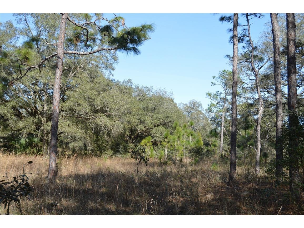 00 Unnamed Spring Hill FL 34610 TB8401223 image18