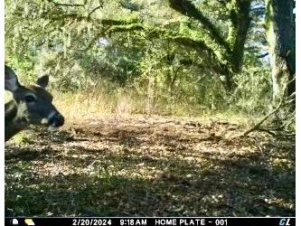 00 Unnamed Spring Hill FL 34610 TB8401223 image22