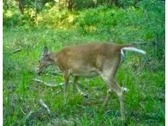 00 Unnamed Spring Hill FL 34610 TB8401223 image24