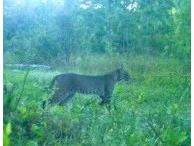 00 Unnamed Spring Hill FL 34610 TB8401223 image25