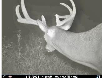 00 Unnamed Spring Hill FL 34610 TB8401223 image29