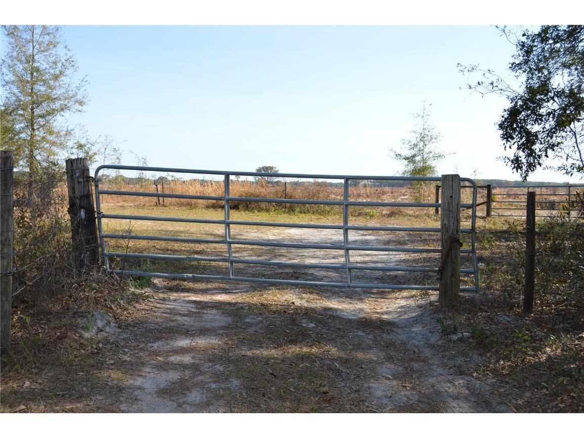 00 Unnamed Spring Hill FL 34610 TB8401223 image3