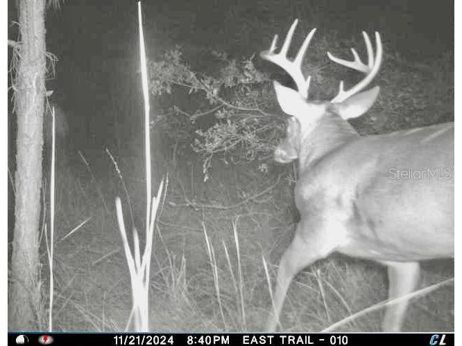 00 Unnamed Spring Hill FL 34610 TB8401223 image33