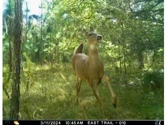 00 Unnamed Spring Hill FL 34610 TB8401223 image35