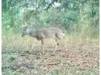 00 Unnamed Spring Hill FL 34610 TB8401223 image36