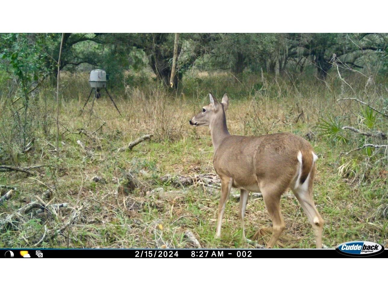 00 Unnamed Spring Hill FL 34610 TB8401223 image37