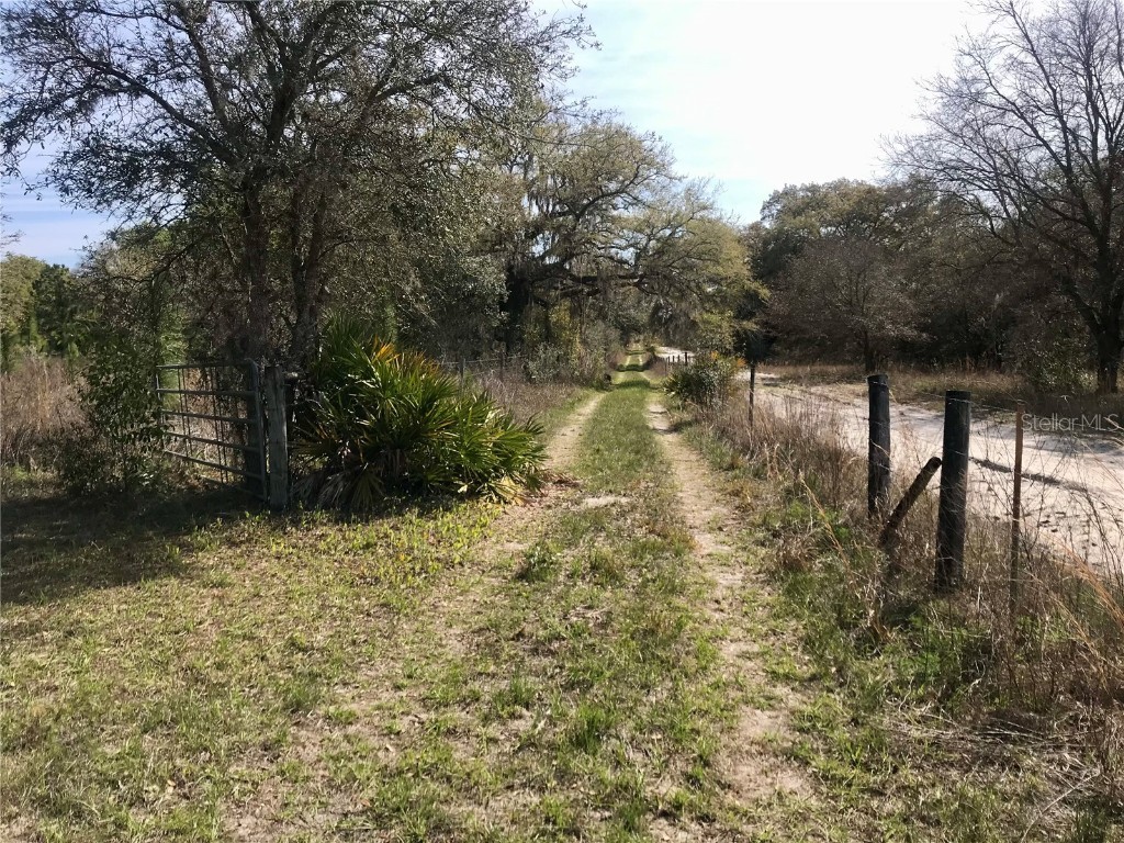 00 Unnamed Spring Hill FL 34610 TB8401223 image4