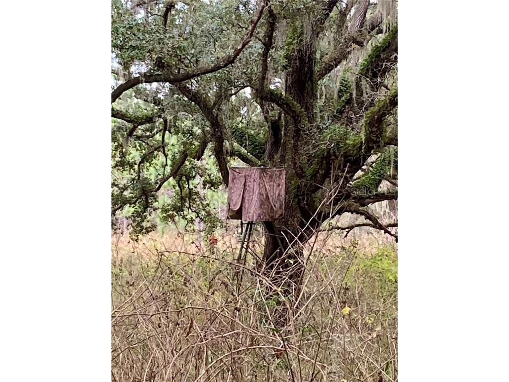 00 Unnamed Spring Hill FL 34610 TB8401223 image40