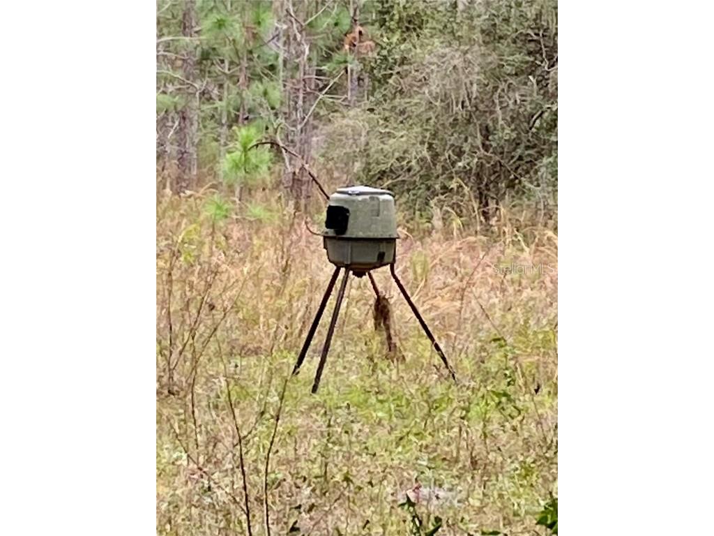 00 Unnamed Spring Hill FL 34610 TB8401223 image41