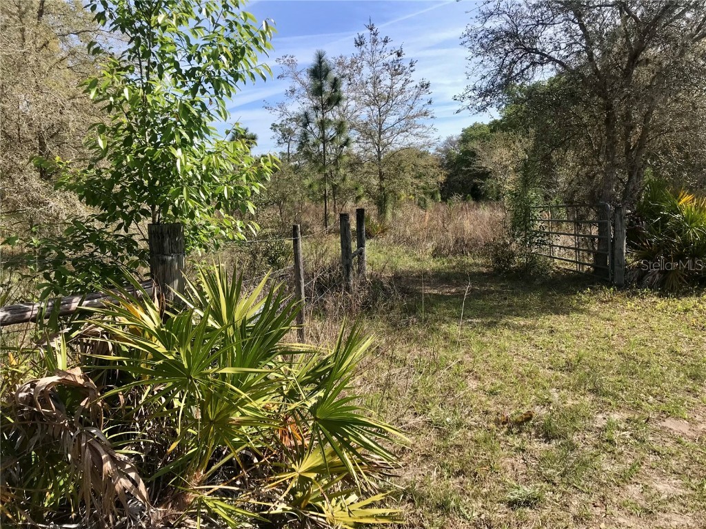 00 Unnamed Spring Hill FL 34610 TB8401223 image43