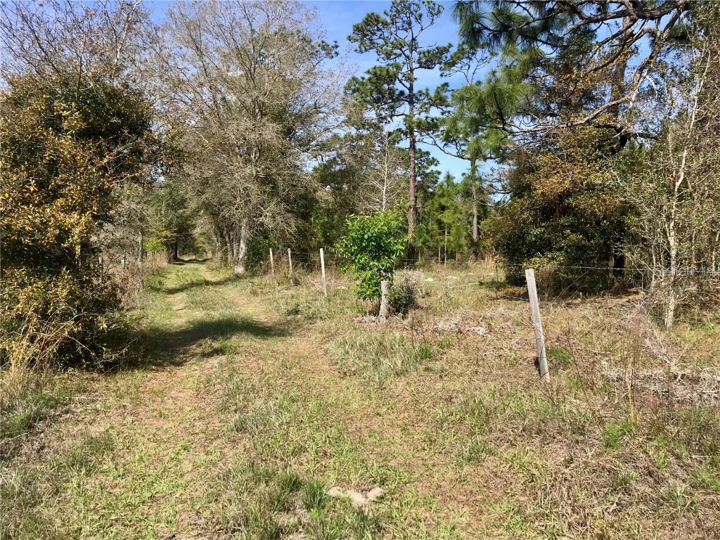 00 Unnamed Spring Hill FL 34610 TB8401223 image44