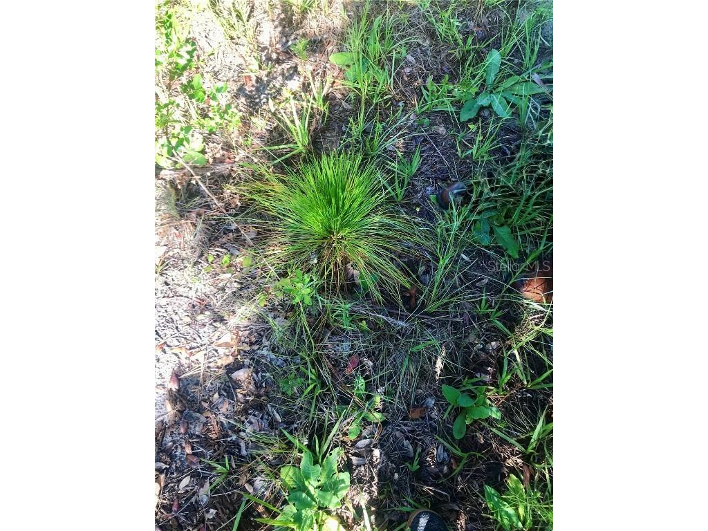 00 Unnamed Spring Hill FL 34610 TB8401223 image45