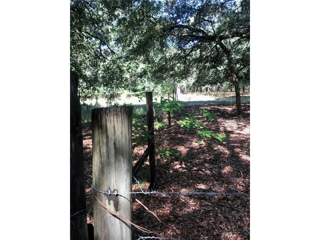 00 Unnamed Spring Hill FL 34610 TB8401223 image50