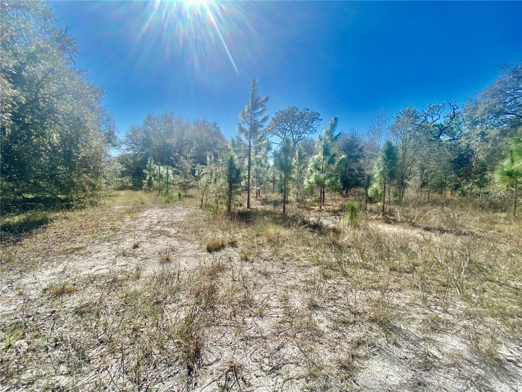 00 Unnamed Spring Hill FL 34610 TB8401223 image51