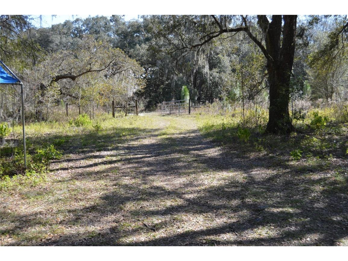 00 Unnamed Spring Hill FL 34610 TB8401223 image6