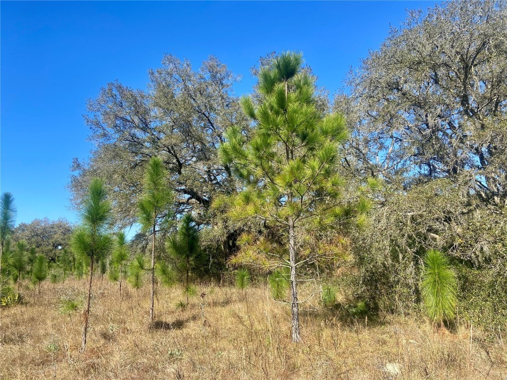 00 Unnamed Spring Hill FL 34610 TB8401223 image60