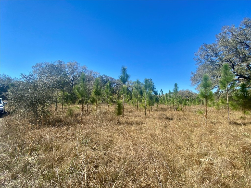 00 Unnamed Spring Hill FL 34610 TB8401223 image62