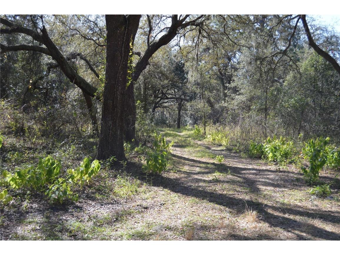 00 Unnamed Spring Hill FL 34610 TB8401223 image7