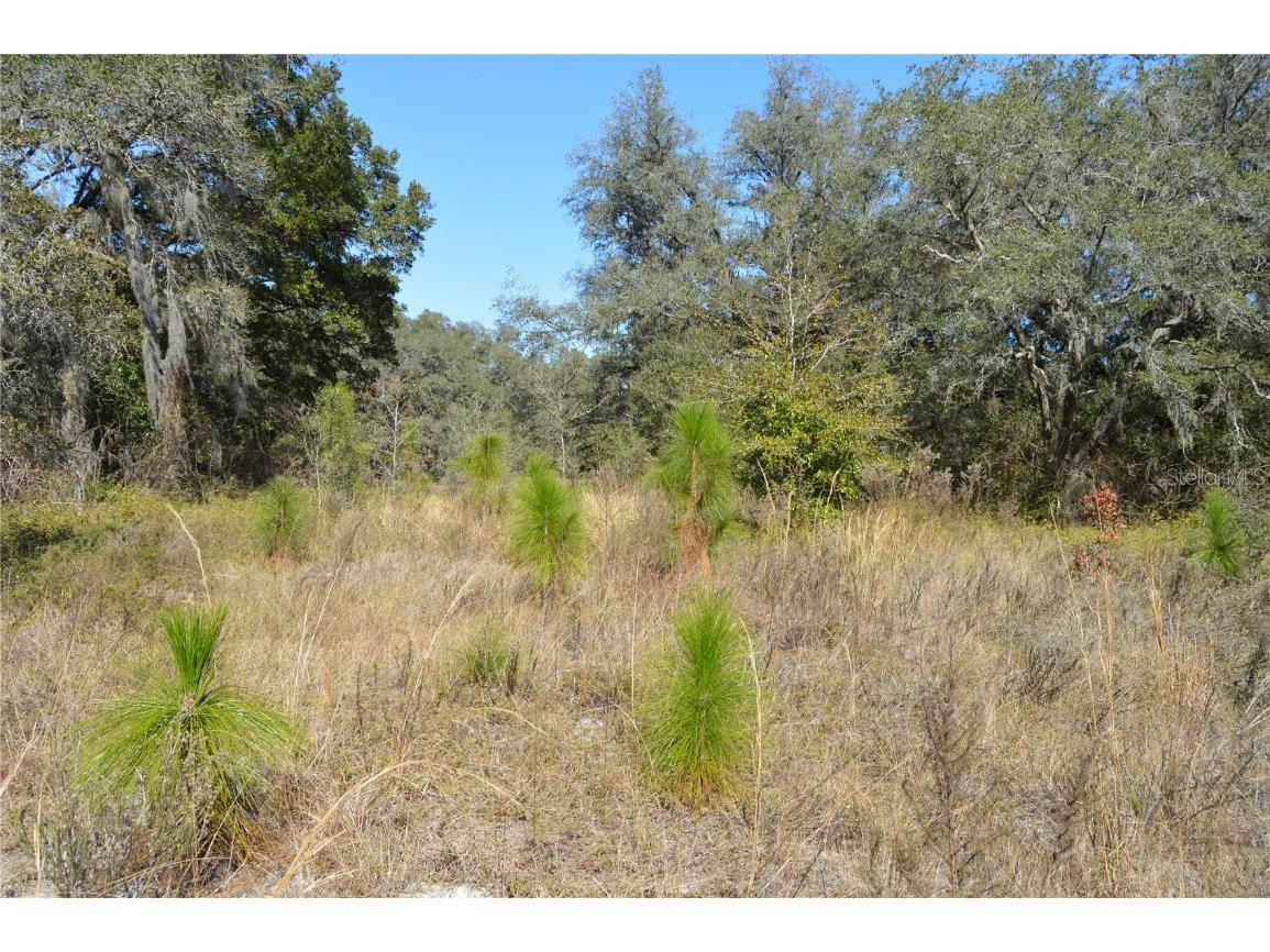 00 Unnamed Spring Hill FL 34610 TB8401223 image8