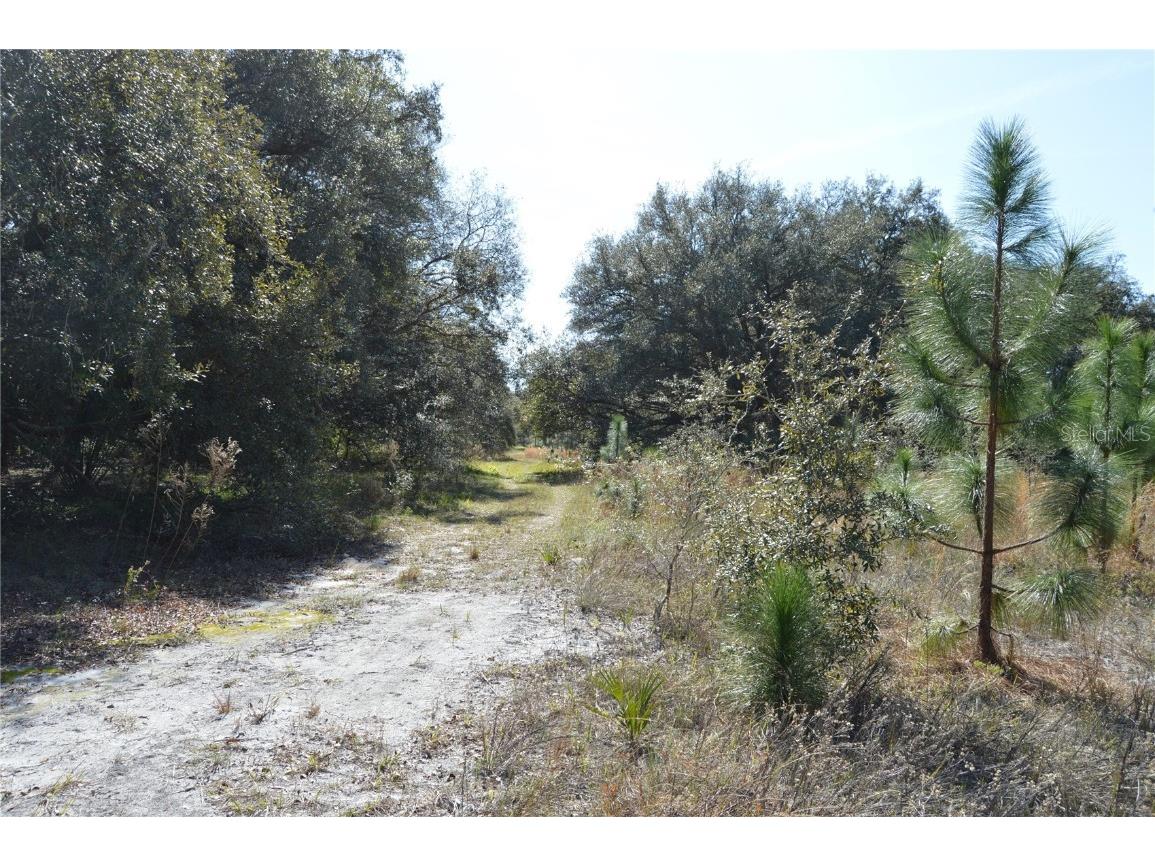 00 Unnamed Spring Hill FL 34610 TB8401223 image9