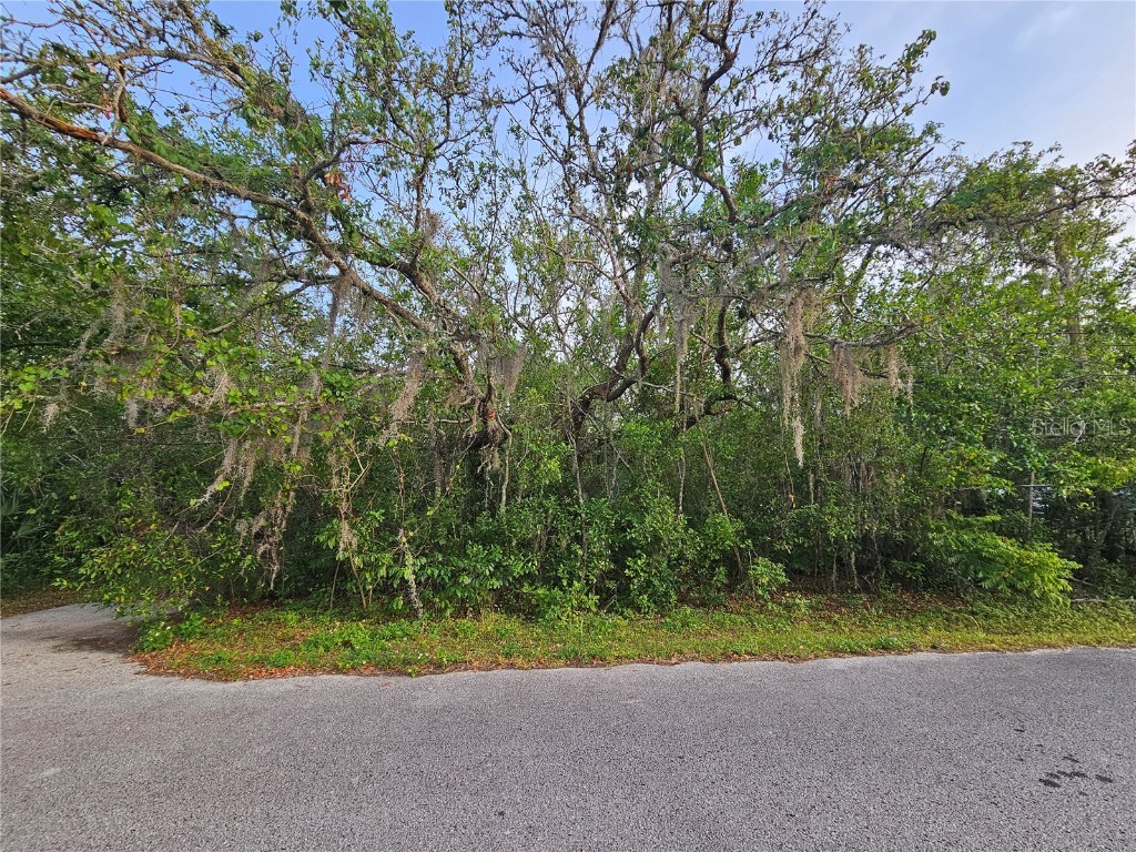 00 Valimar Road New Port Richey FL 34654 TB8383094 image1