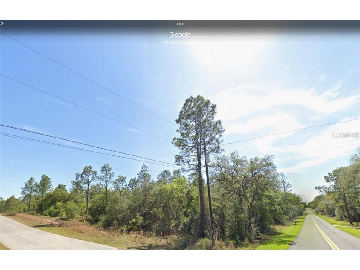 00 Viola Court Dunnellon FL 34431 OM714410 image1