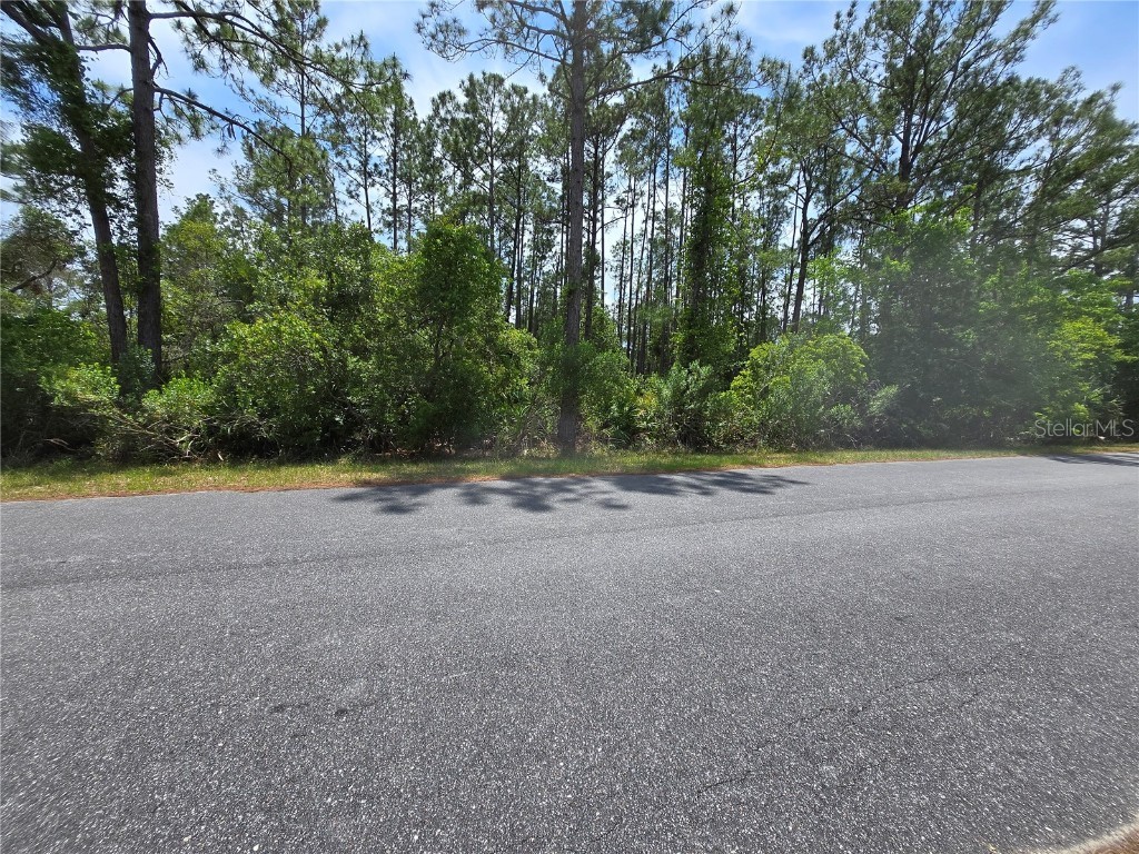 00 W Bluebell Avenue Eustis FL 32736 S5124121 image1