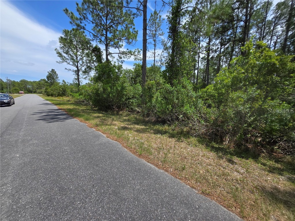 00 W Bluebell Avenue Eustis FL 32736 S5124121 image2