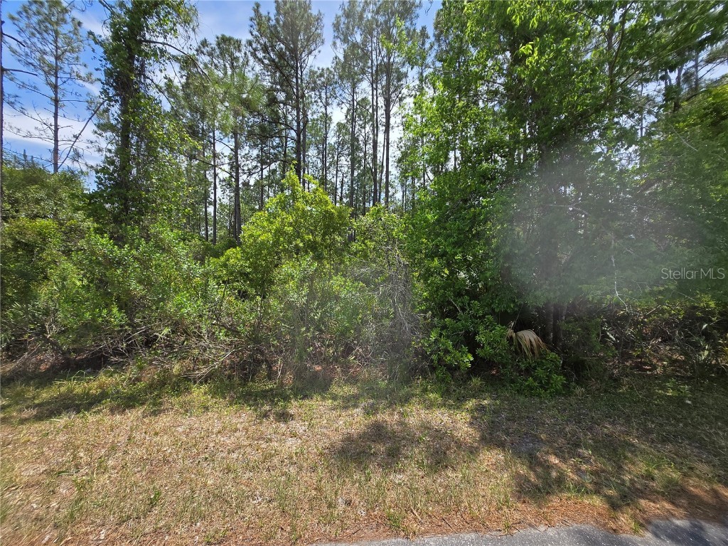 00 W Bluebell Avenue Eustis FL 32736 S5124121 image3