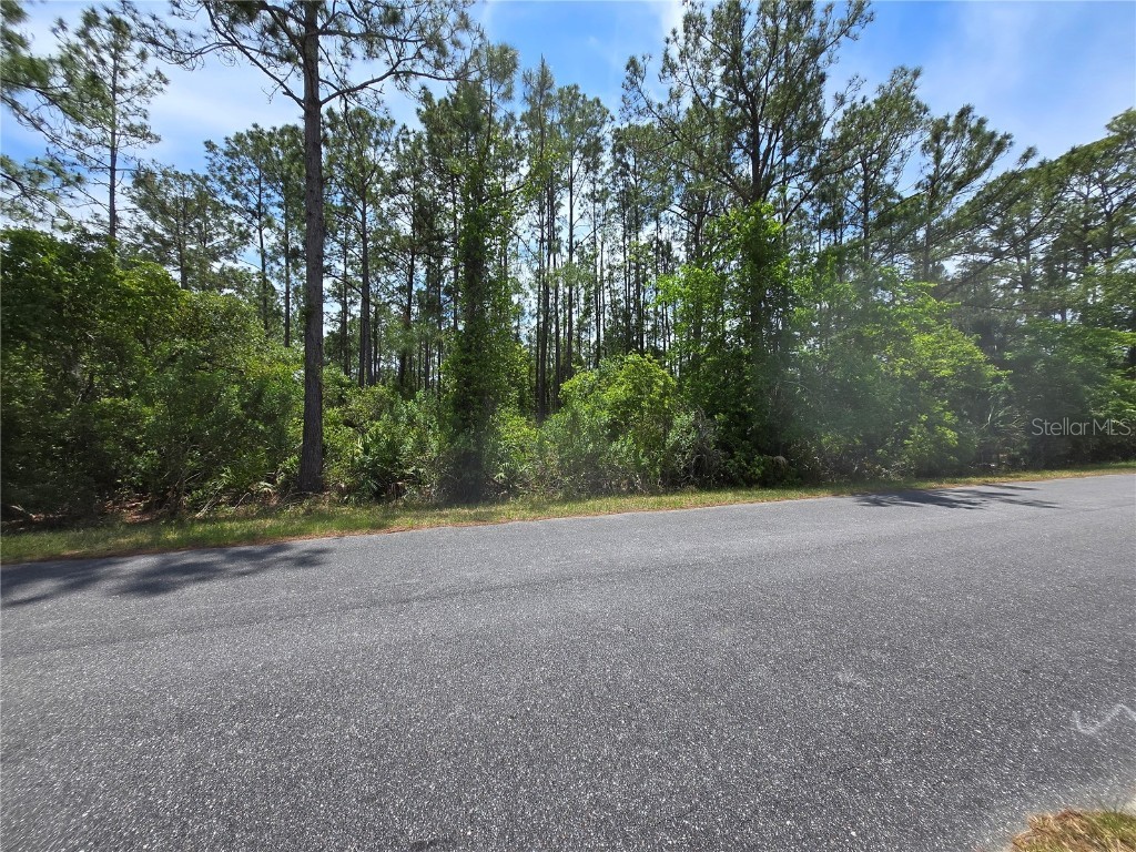 00 W Bluebell Avenue Eustis FL 32736 S5124121 image4