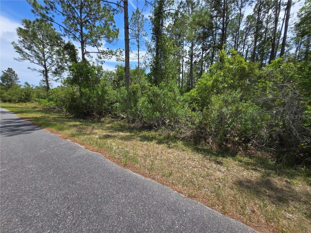 00 W Bluebell Avenue Eustis FL 32736 S5124121 image5