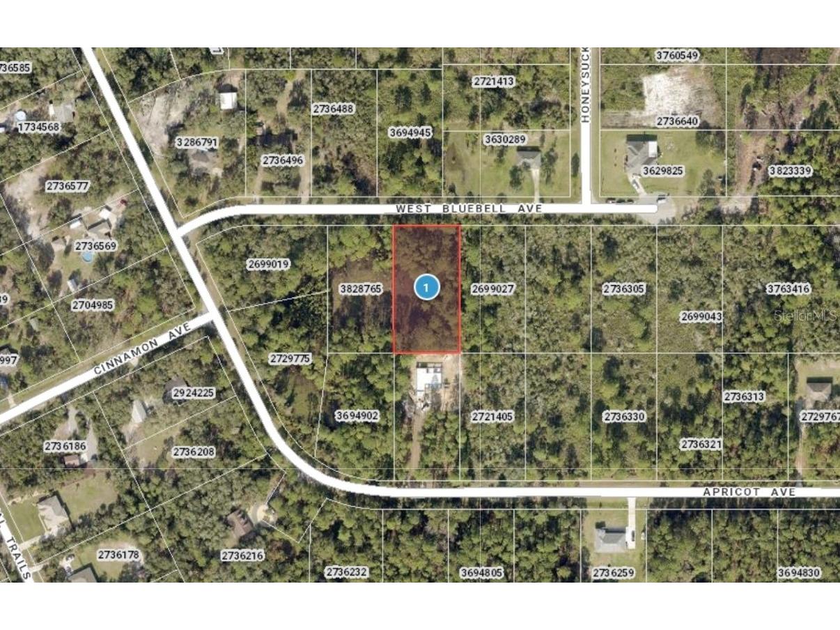 00 W Bluebell Avenue Eustis FL 32736 S5124121 image6