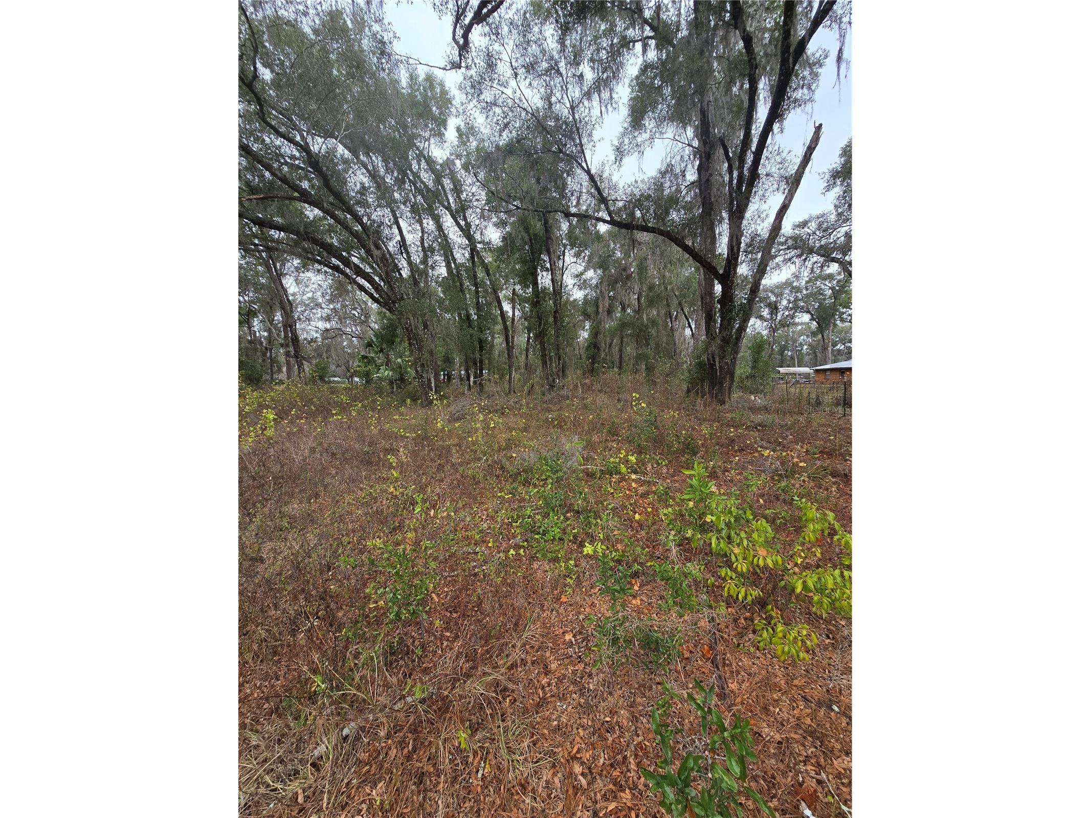00 W C 476 Bushnell FL 33513 TB8468874 image2