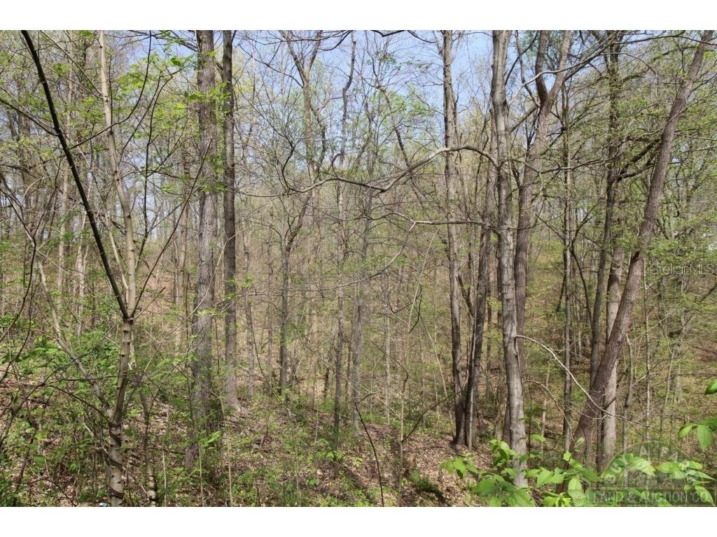 00 W County Road 18 Lake Butler FL 32054 GC511643 image1