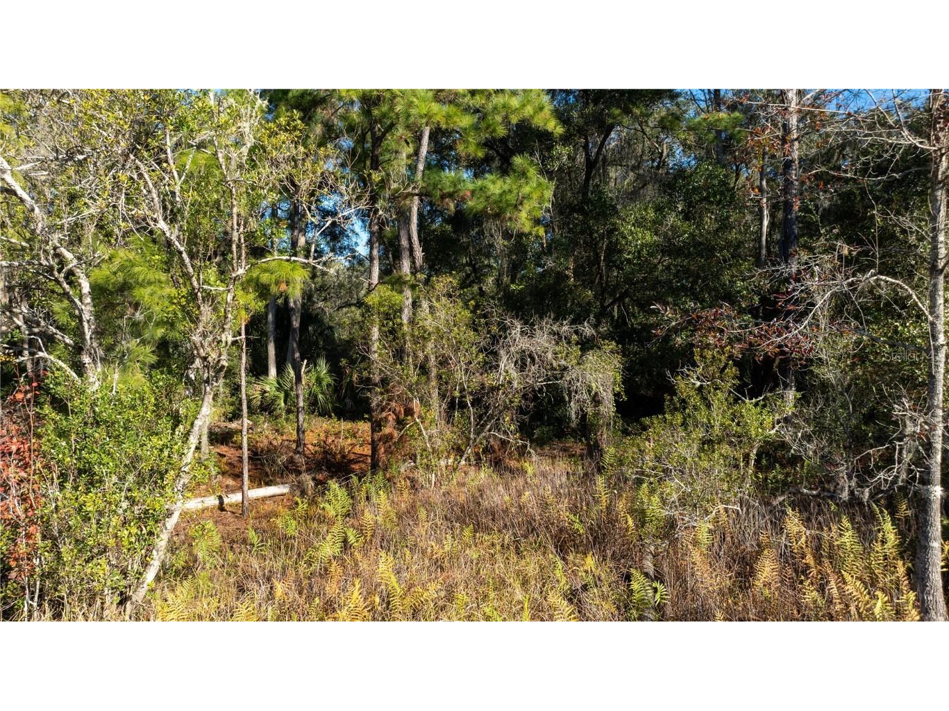 00 W Henry Blair Lane Dunnellon FL 34434 OM691293 image1