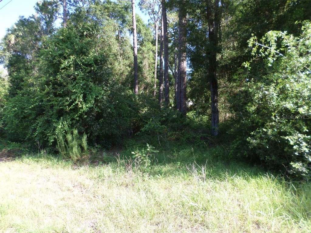 00 W. Highway 40 Dunnellon FL 34431 OM677920 image1