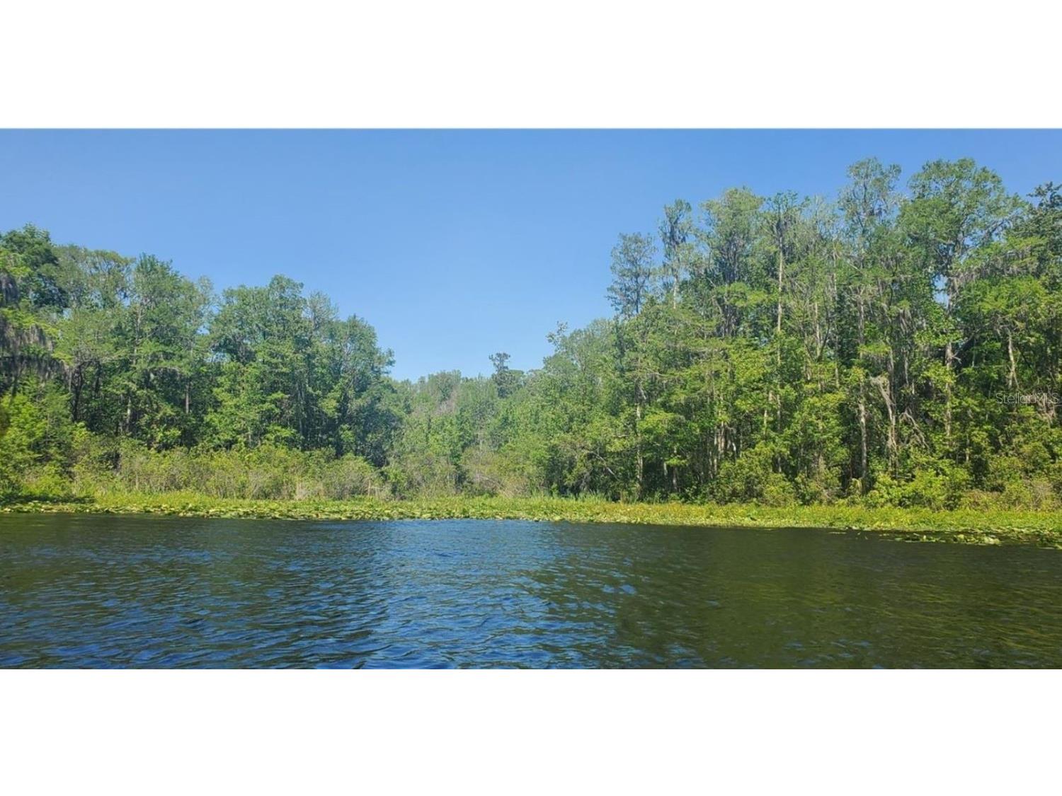 00 W Highway 40 Dunnellon FL 34431 - WITHLACOOCHEE RIVER TB8315658 image1