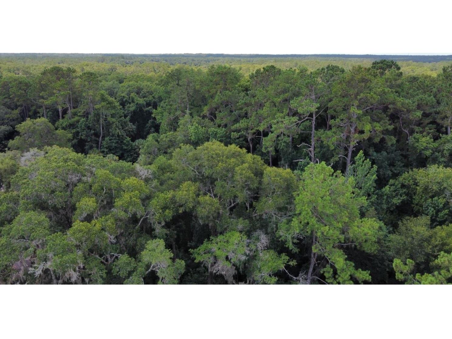 00 W Highway 40 Dunnellon FL 34431 - WITHLACOOCHEE RIVER TB8315658 image10