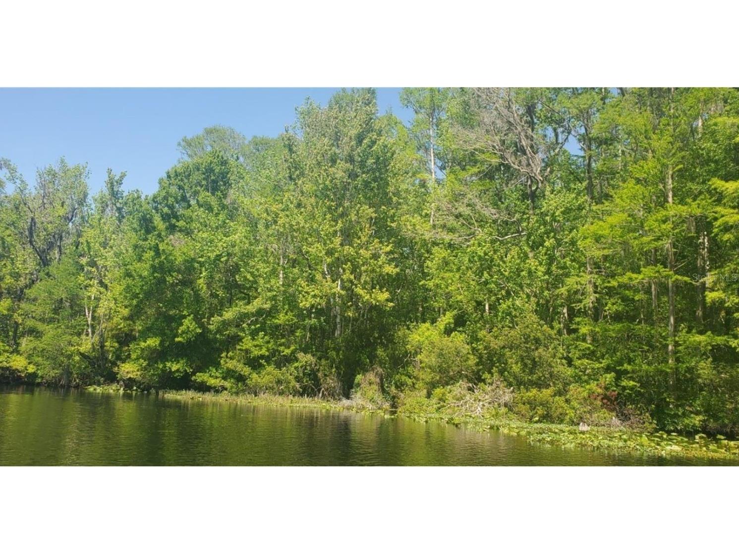 00 W Highway 40 Dunnellon FL 34431 - WITHLACOOCHEE RIVER TB8315658 image3