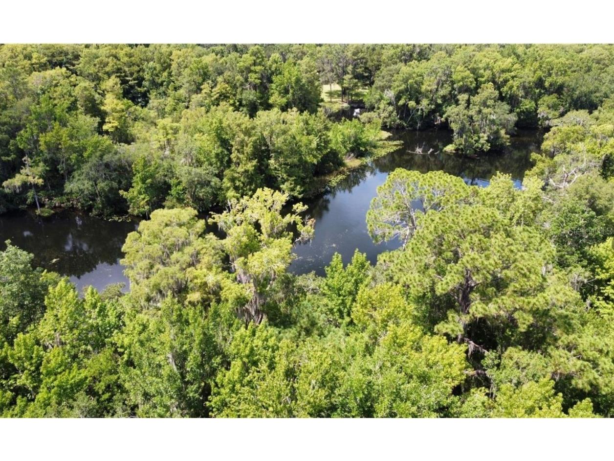 00 W Highway 40 Dunnellon FL 34431 - WITHLACOOCHEE RIVER TB8315658 image4