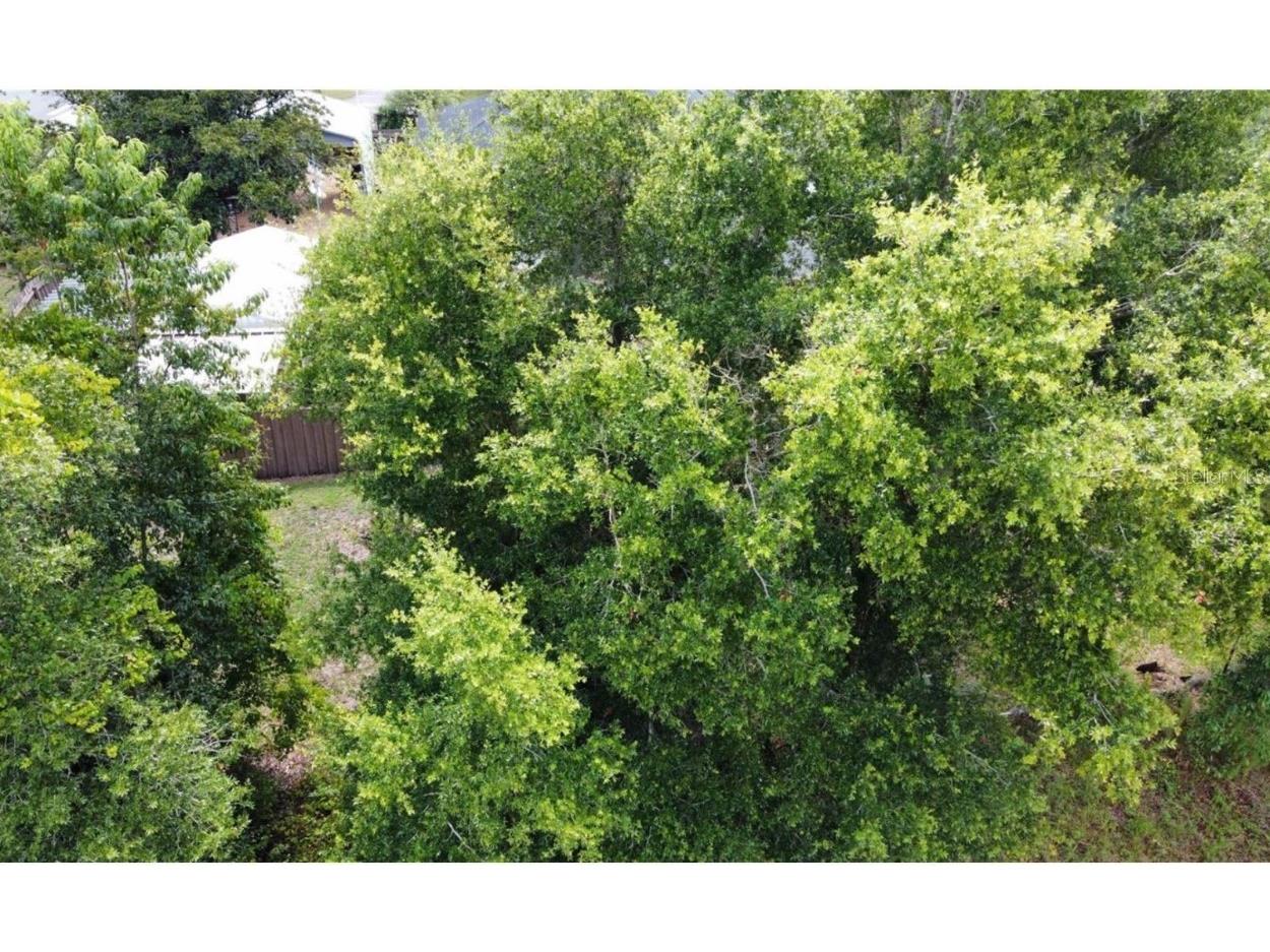 00 W Highway 40 Dunnellon FL 34431 - WITHLACOOCHEE RIVER TB8315658 image5