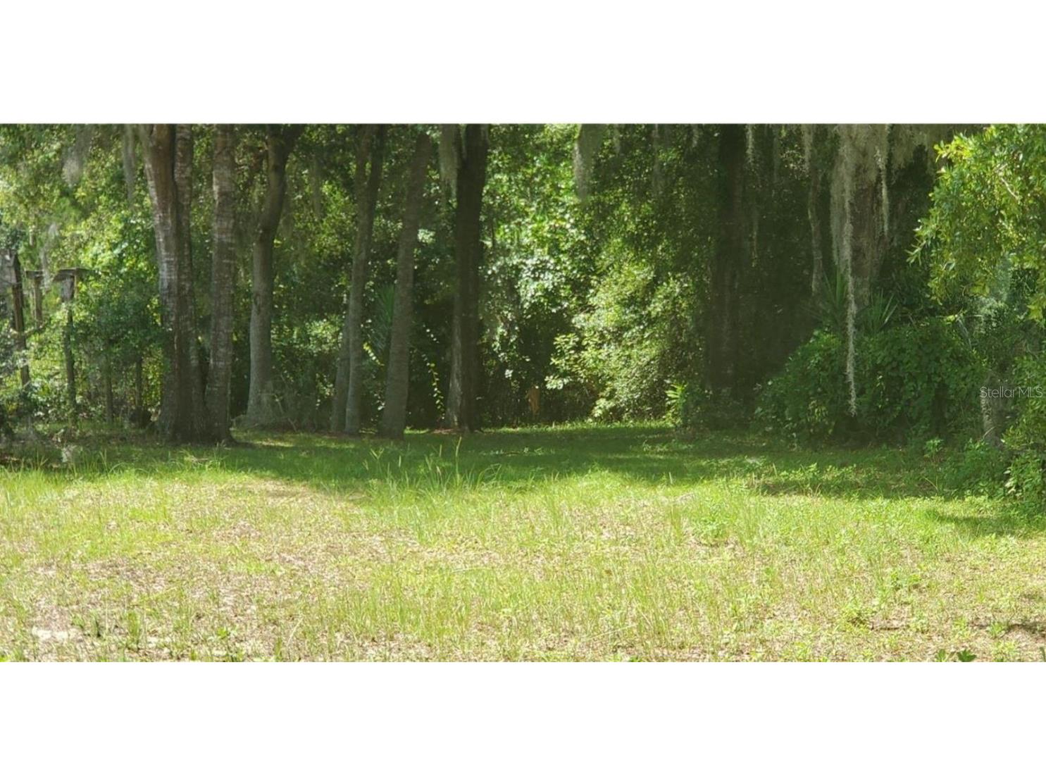 00 W Highway 40 Dunnellon FL 34431 - WITHLACOOCHEE RIVER TB8315658 image7